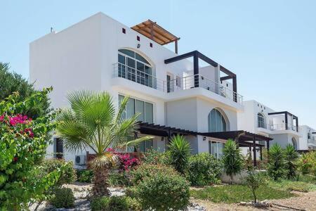 Joya Cyprus Mermaid Penthouse Apartment Agios Amvrosios  Buitenkant foto